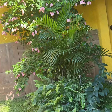 Pousada Paraíso de Itaúna-3